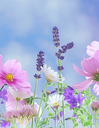 Ruth A. (Breault) Willets Obituary